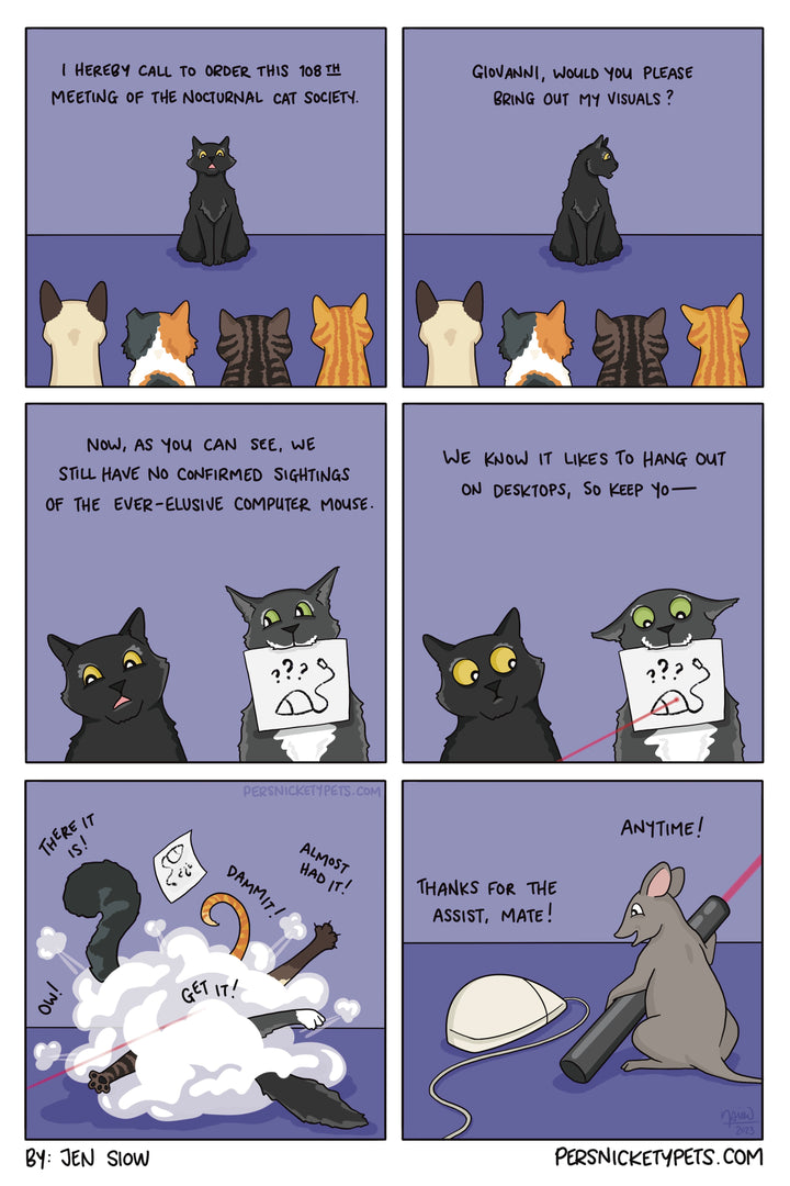 The Persnickety Pets comic by Jen Siow: “Nocturnal Cat Society”