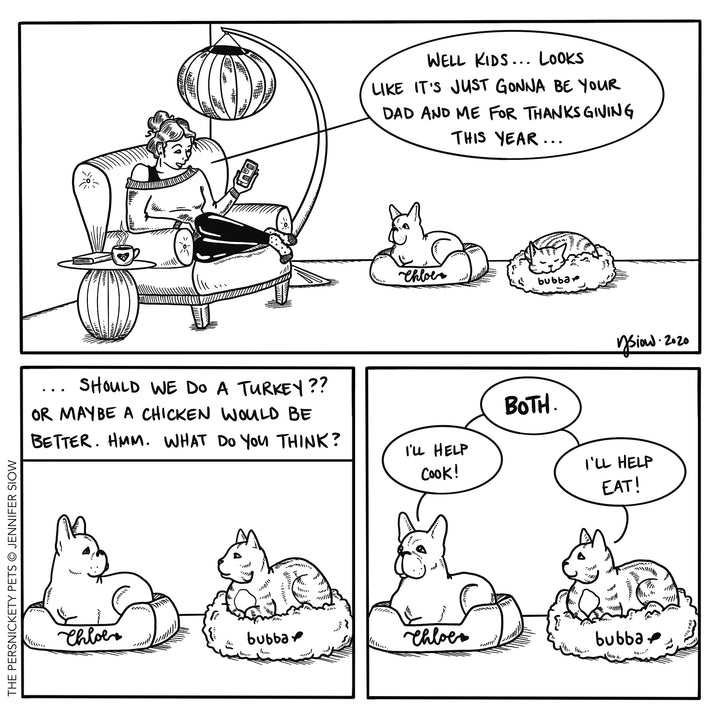 Persimmon Peak: The Persnickety Pets comic 11/15/20