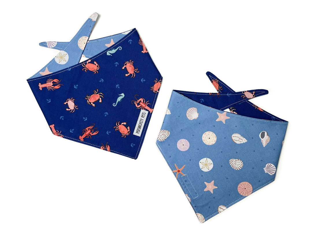 Crabs and seashells reversible bandana both sides