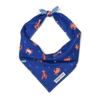 Crabs and seashells reversible bandana tied