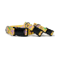 Persnickety Pets - Mardi Gras dog collar 3 sizes stacked