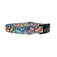 Rainbow dinosaurs dog collar