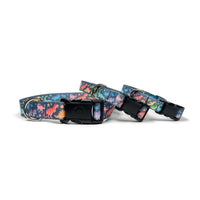 Rainbow dinosaurs dog collar 3 sizes stacked