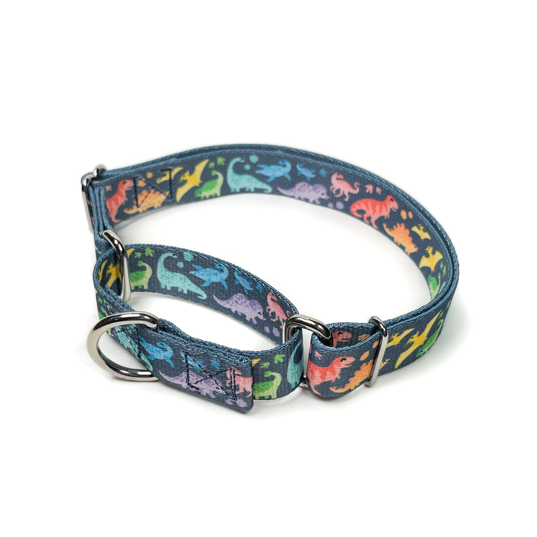 Rainbow dinosaurs martingale dog collar