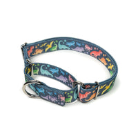 Rainbow dinosaurs martingale dog collar