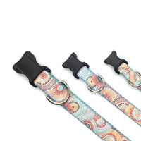 Persnickety Pets: Classic dog collar - sunburst on mist, 3 sizes