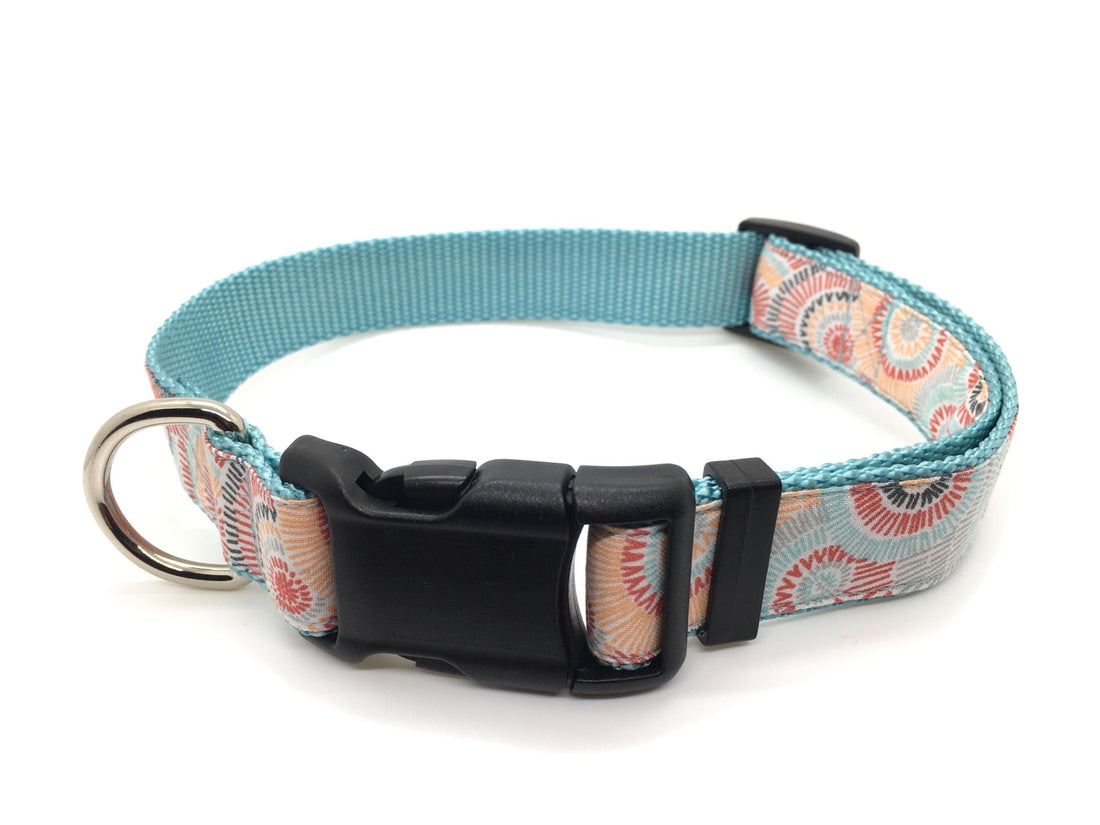 Persnickety Pets: Classic dog collar - sunburst on mist, single