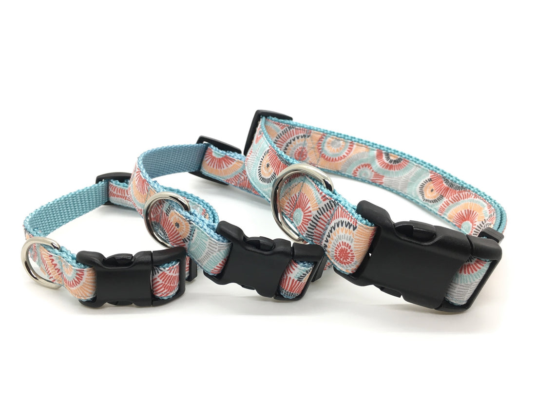 Persnickety Pets Classic dog collar - sunburst on mist, stacked
