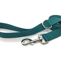 Persnickety Pets: teal dog leash, wide