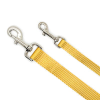 Persnickety Pets: Gold dog leash 2 sizes