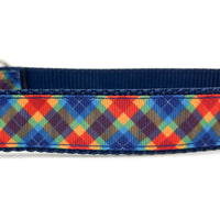 Persnickety Pets: Rainbow plaid dog collar, detail