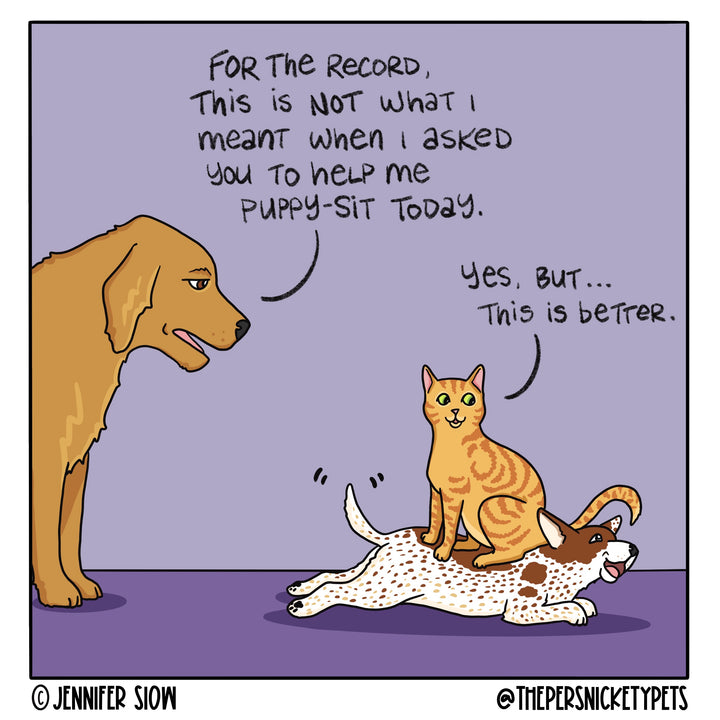 Persnickety Pets: the Persnickety Pets comic 2/14/21