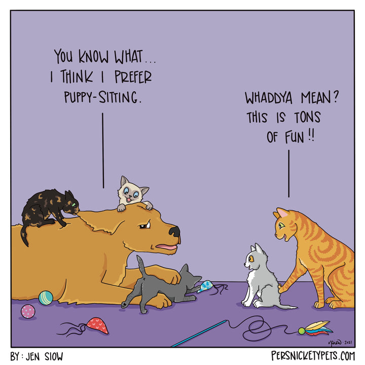 The Persnickety Pets comic by Jen Siow: “Kitty-Sitting”