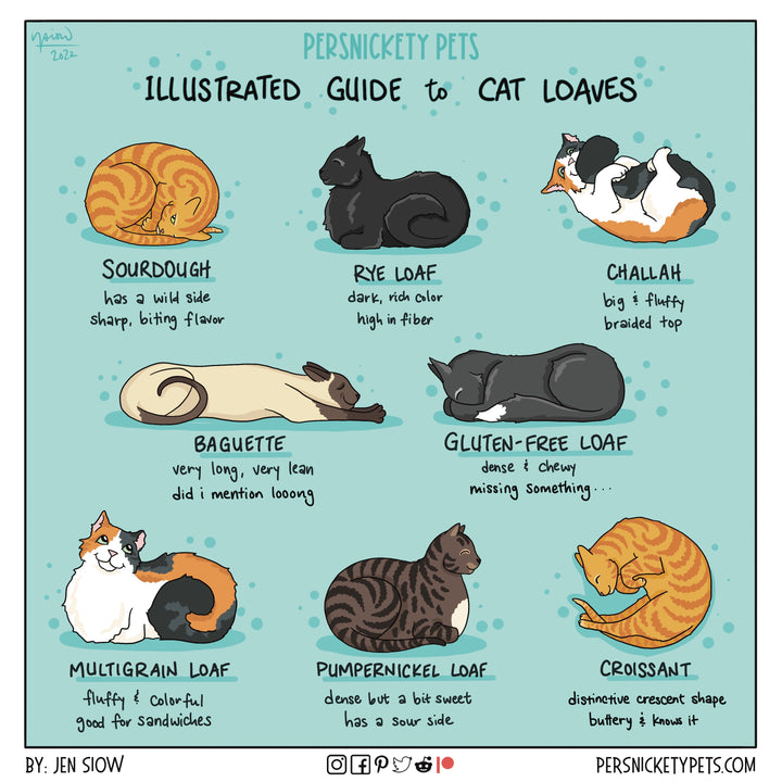 The Persnickety Pets comic by Jen Siow: “Cat Loaves”