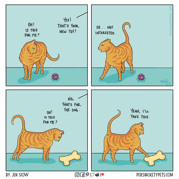 The Persnickety Pets comic by Jen Siow: “Cat Logic”