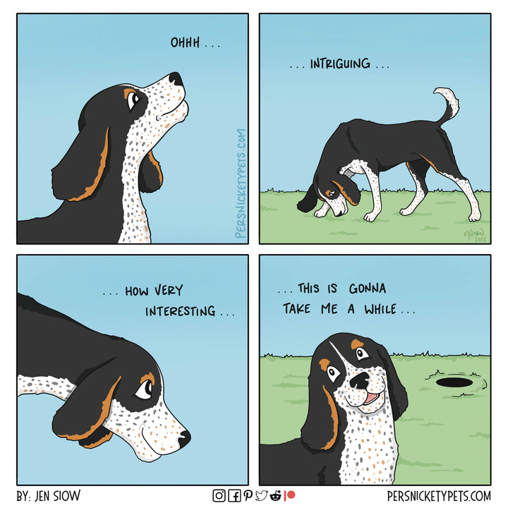 The Persnickety Pets comic by Jen Siow: “Open Season”