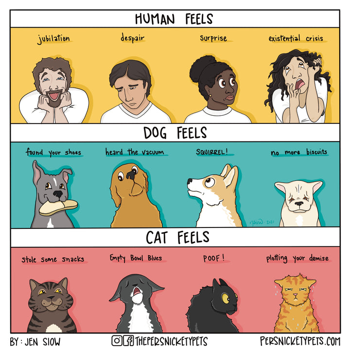 The Persnickety Pets comic by Jen Siow: “All the Feels”