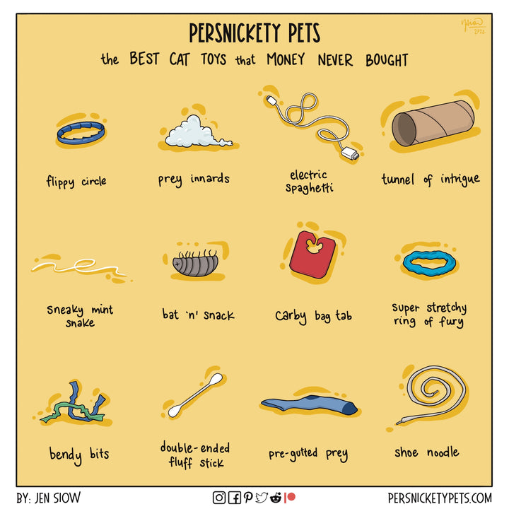 The Persnickety Pets comic by Jen Siow: “The Best Cat Toys”
