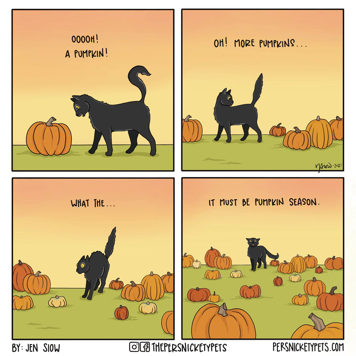 The Persnickety Pets comic by Jen Siow: “Pumpkin Season”