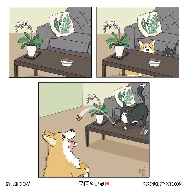 The Persnickety Pets comic by Jen Siow: “Unattended Pretzels” (Revisited)