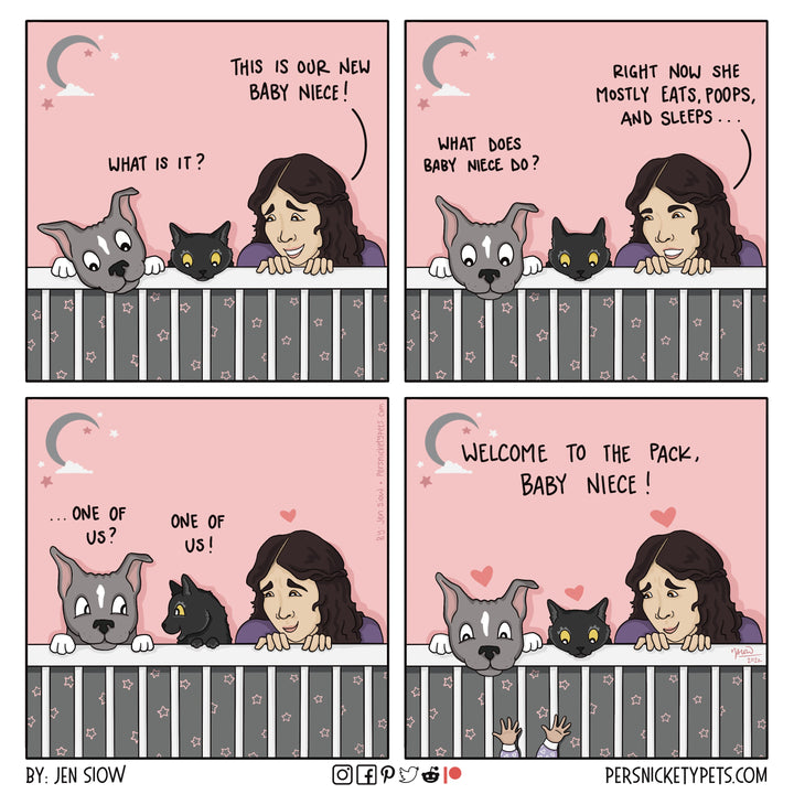 The Persnickety Pets comic by Jen Siow: “One of Us”