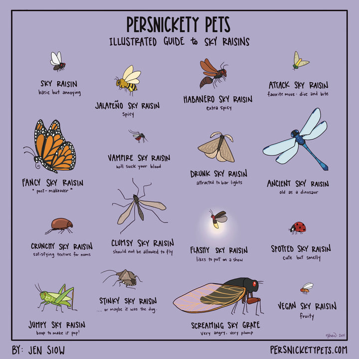 The Persnickety Pets comic by Jen Siow: “Illustrated Guide to Sky Raisins”