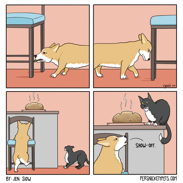 The Persnickety Pets comic by Jen Siow: “Show-Off”