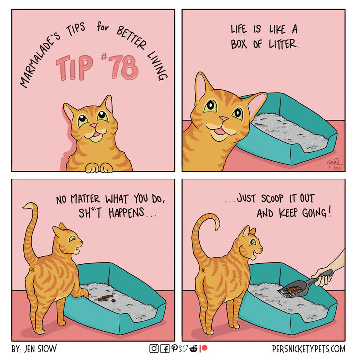 The Persnickety Pets comic by Jen Siow: “Marmalade’s Tip #78”