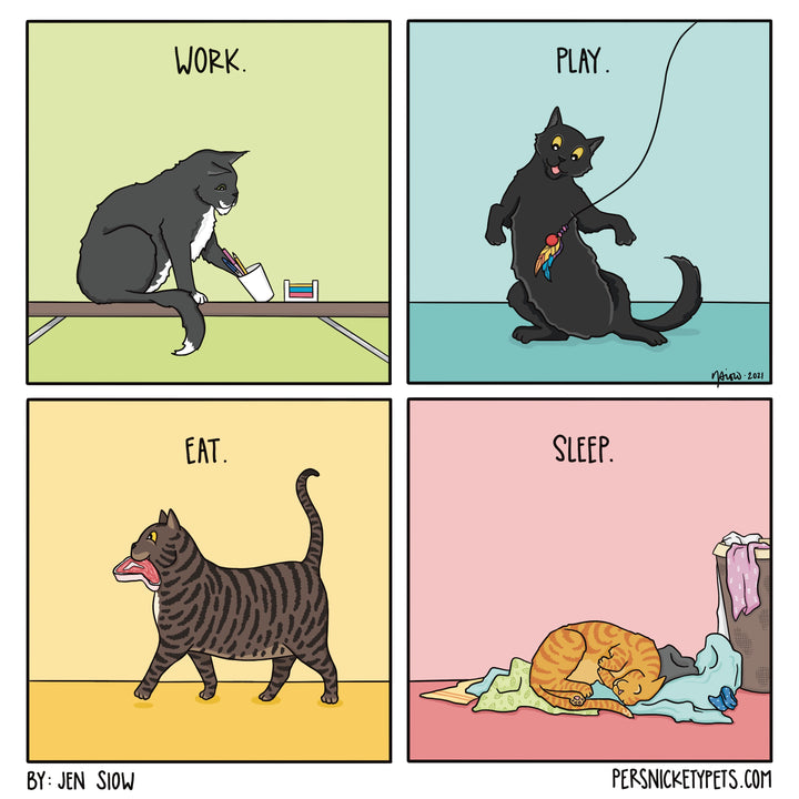 The Persnickety Pets comic by Jen Siow: “A Cat’s LIfe”