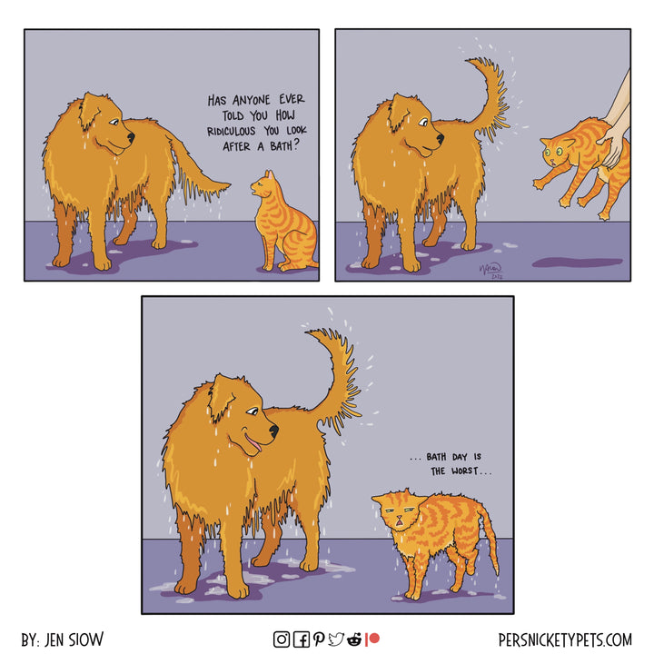 The Persnickety Pets comic by Jen Siow: “After the Bath”