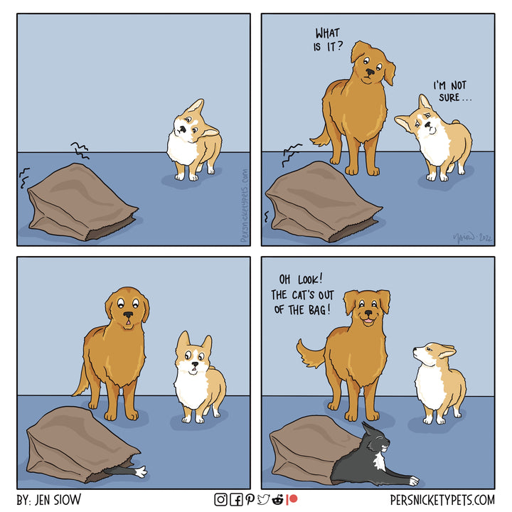 The Persnickety Pets comic by Jen Siow: “Plot Twist”