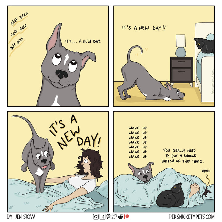 The Persnickety Pets comic by Jen Siow: “A New Day”
