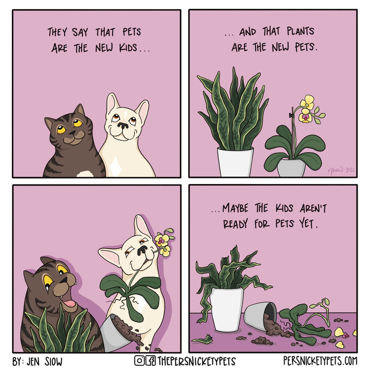 The Persnickety Pets comic by Jen Siow: “Kids. Pets. Plants.”