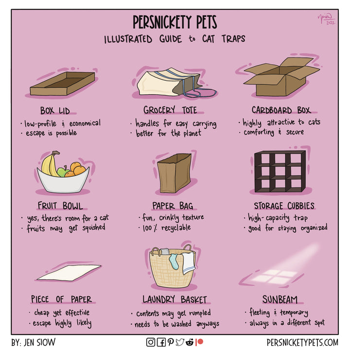 The Persnickety Pets comic by Jen Siow: “Illustrated Guide to Cat Traps”