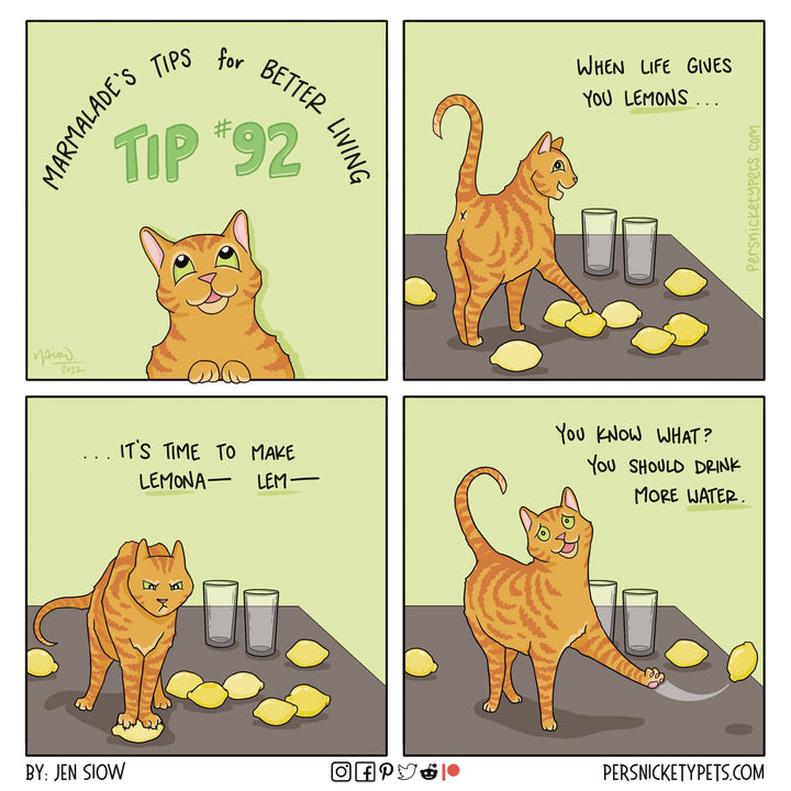 The Persnickety Pets comic by Jen Siow: “Marmalade’s Tip #92”