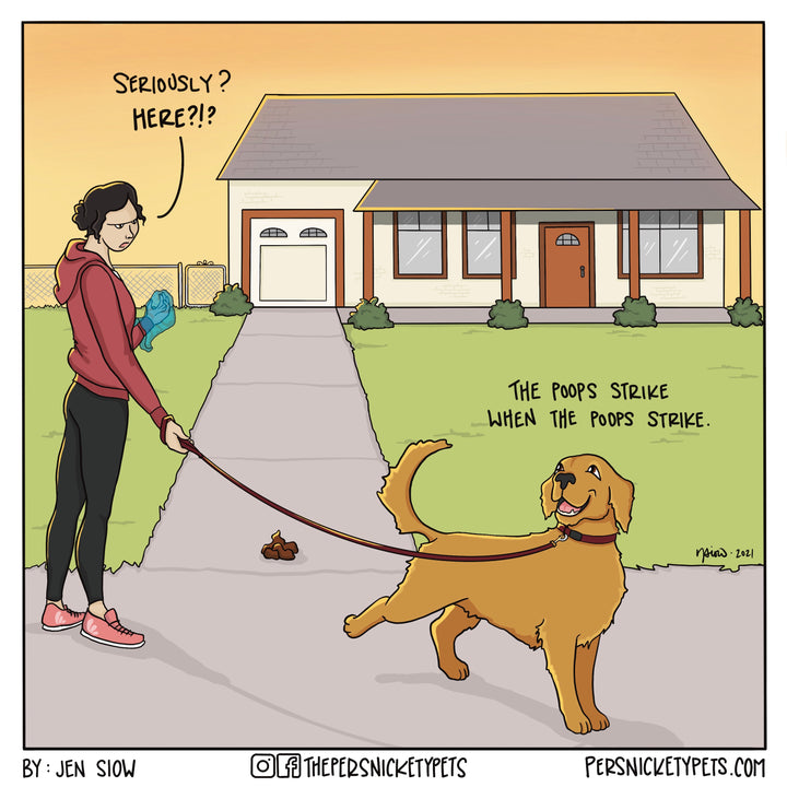 The Persnickety Pets comic by Jen Siow: “Shameless”