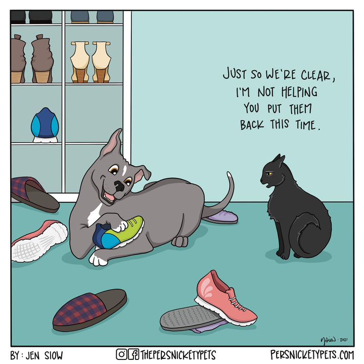 The Persnickety Pets comic by Jen Siow: “Shoetime”