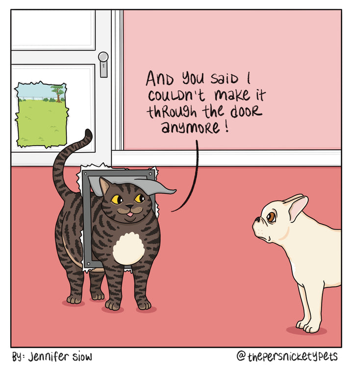 Persnickety Pets: The Persnickety Pets comic 4/11/21