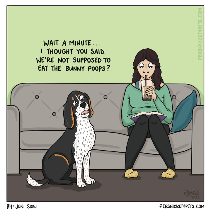 The Persnickety Pets comic by Jen Siow: “A Special Treat”