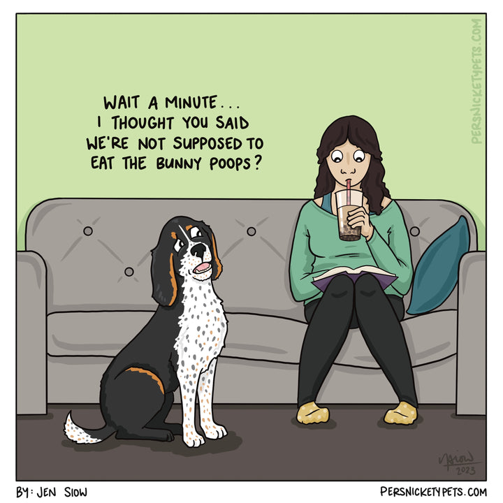 Sky Raisin Chart Illustrated Guide to Sky Raisins – Persnickety Pets