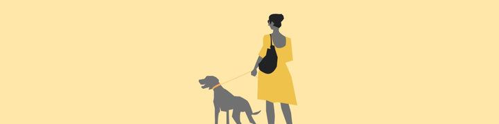 Firm But Fair Pet Parent Picks