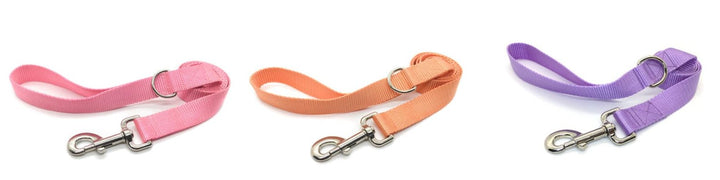Persimmon Peak: dog leashes