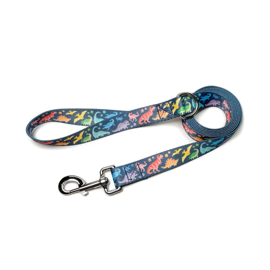 Rainbow dinosaurs dog leash wide