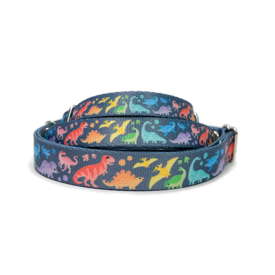 Rainbow dinosaurs martingale dog collar stacked