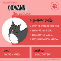 Persnickety Pets: Giovanni personality card