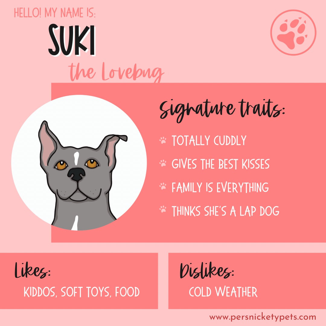 Persnickety Pets: Suki personality card