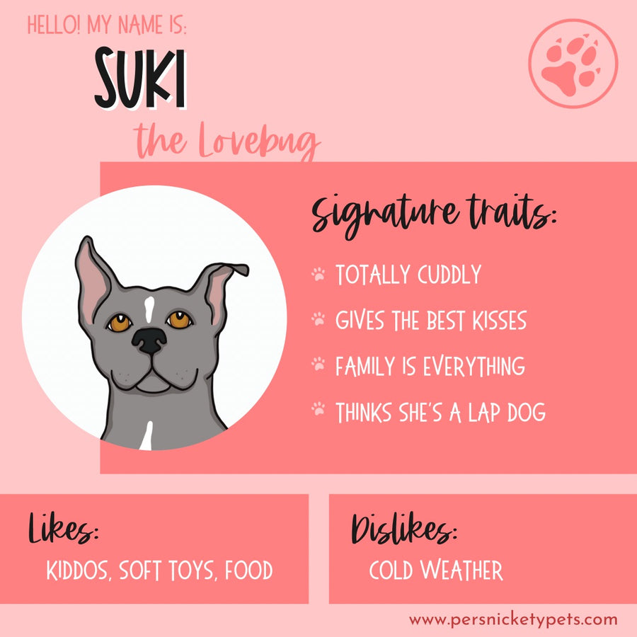 Persnickety Pets: Suki personality card
