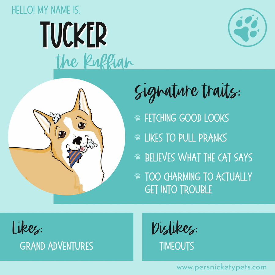 Persnickety Pets: Tucker personality card