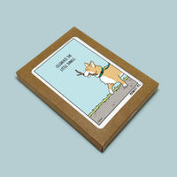 Persnickety Pets: Keep looking up notecard boxed set