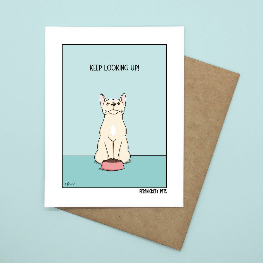Persnickety Pets: Keep looking up notecard